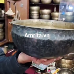Vật Phẩm Trị Liệu Âm Thanh